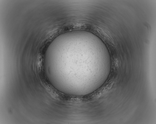 X0000112070914200908181216