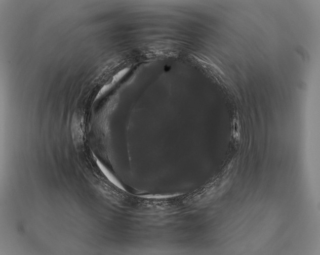 X0000112070915200908181216