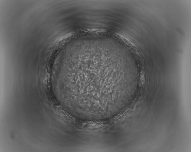 X0000112070917200908181217