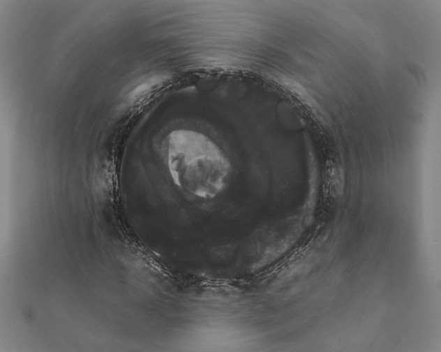 X0000112070918200908181217