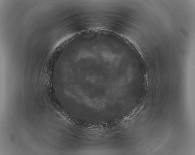 X0000112070919200908181217