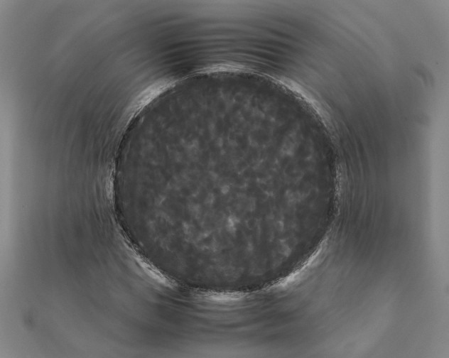 X0000112070921200908181217