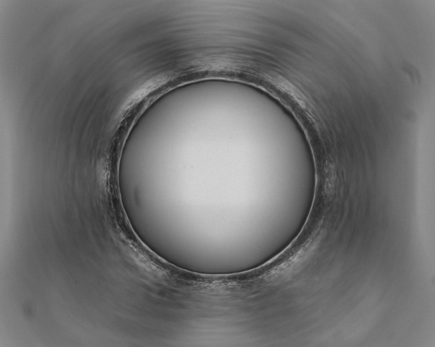 X0000112070922200908181217