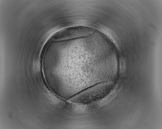 X0000112070924200908181217