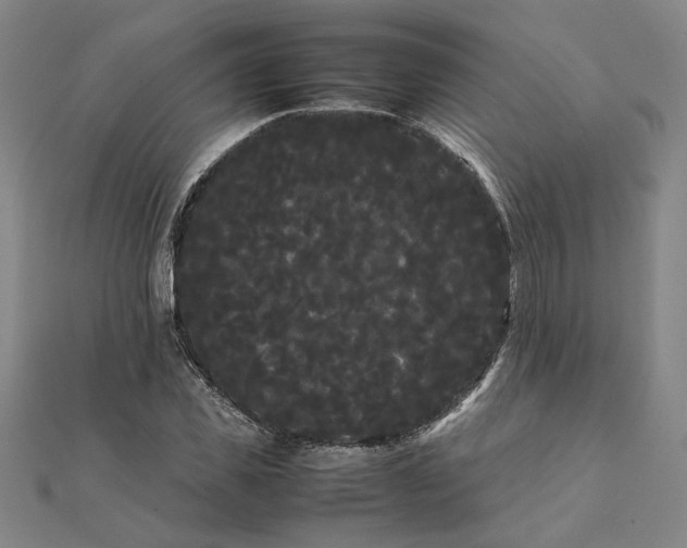 X0000112070925200908181217