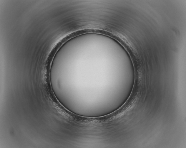 X0000112070926200908181217