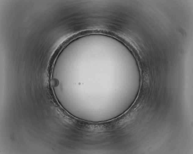 X0000112070927200908181217