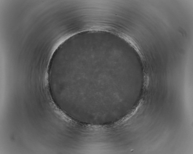 X0000112070928200908181217