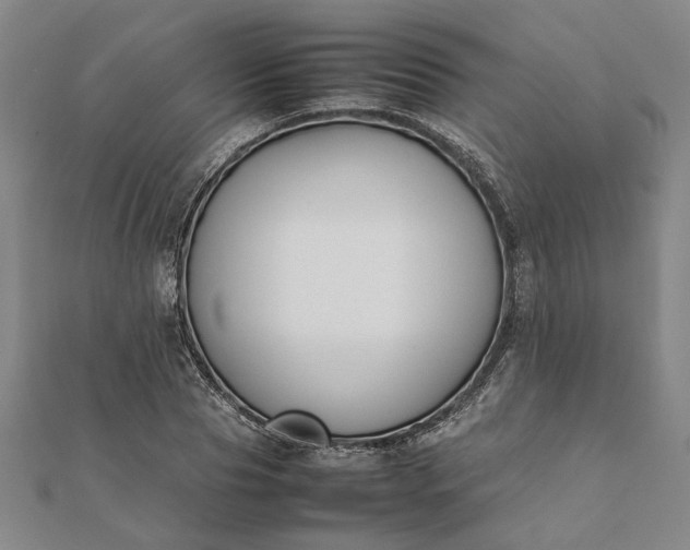 X0000112070929200908181217