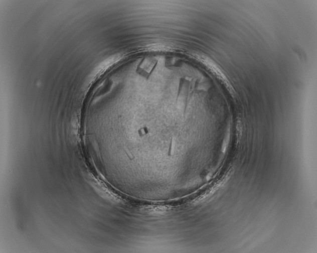 X0000112070930200908181217