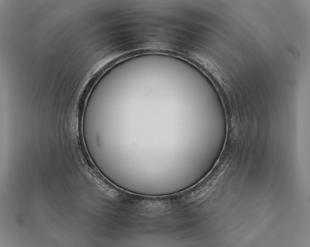 X0000112070931200908181217