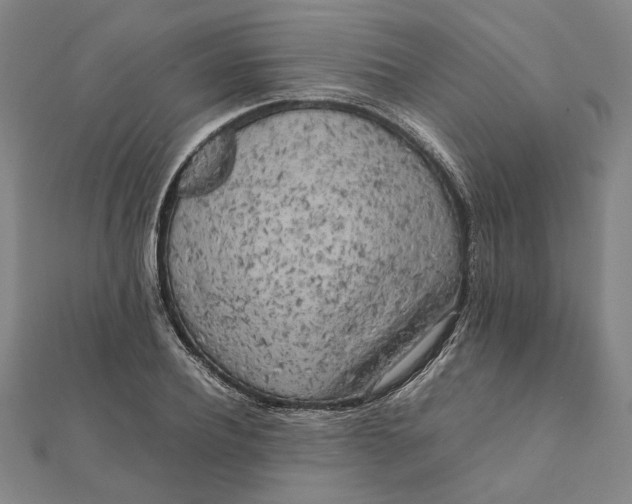 X0000112070932200908181217