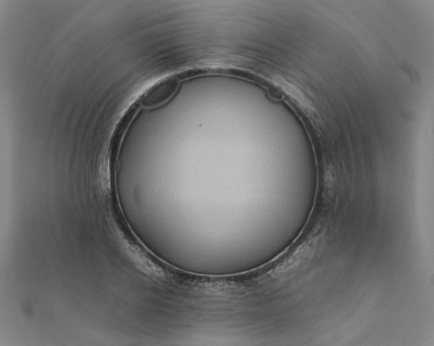 X0000112070934200908181217