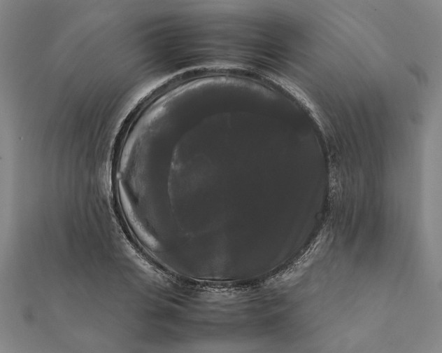 X0000112070935200908181217