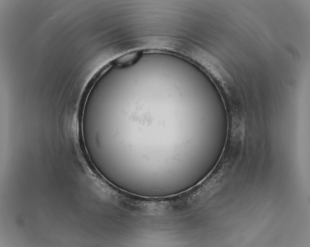 X0000112070936200908181217