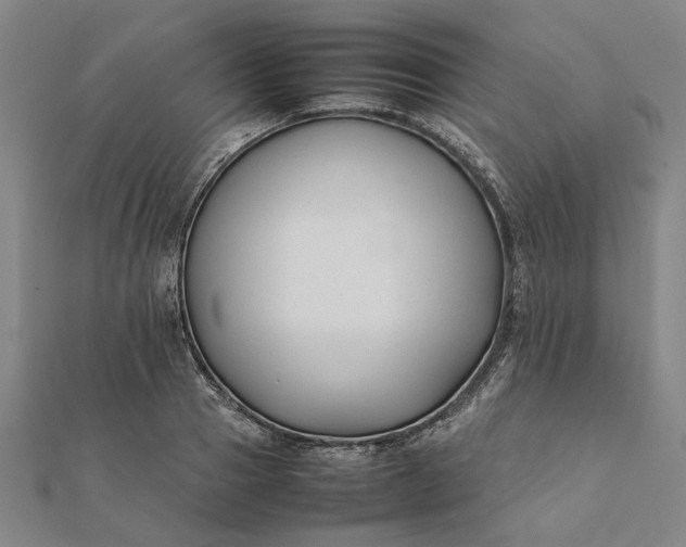 X0000112070937200908181217