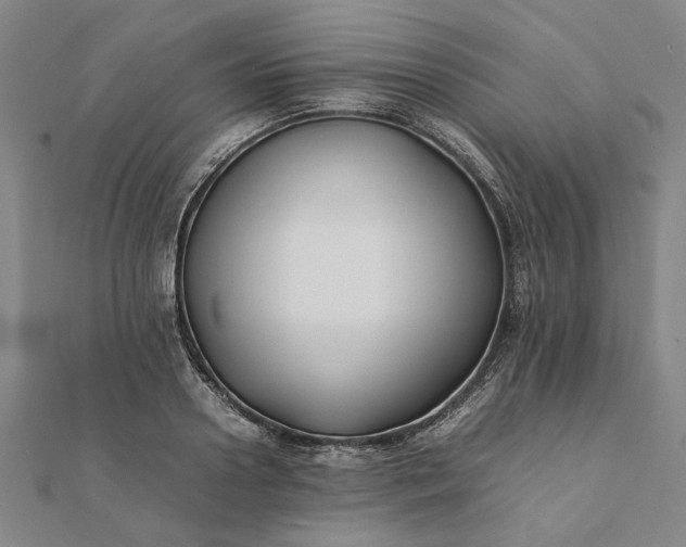 X0000112070938200908181217