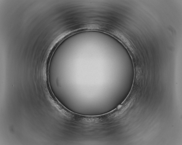 X0000112070939200908181217