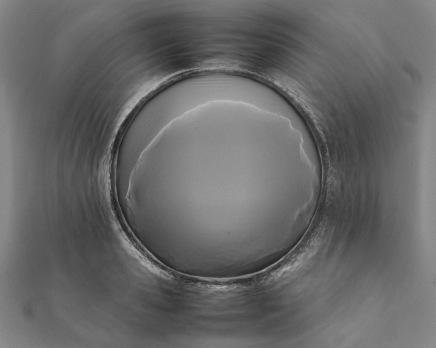 X0000112070941200908181217