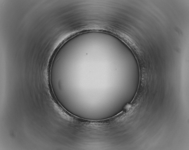 X0000112070942200908181217