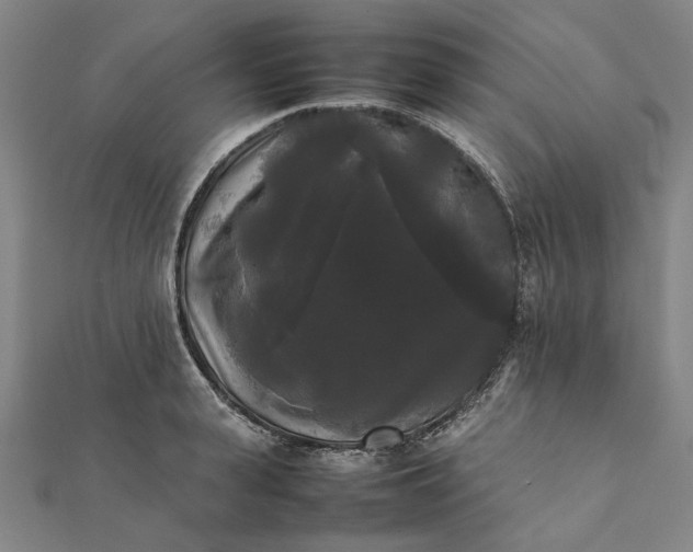 X0000112070943200908181217