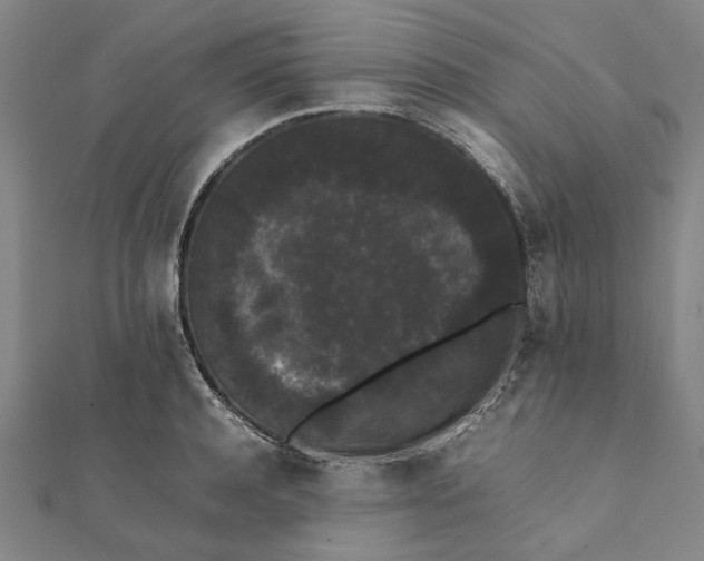 X0000112070944200908181217