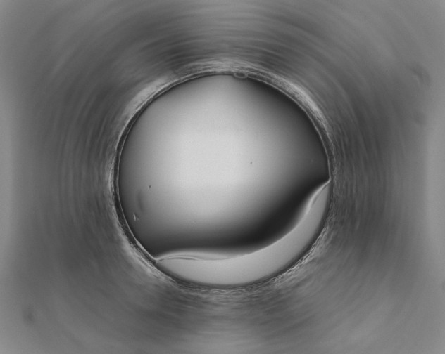 X0000112070946200908181217