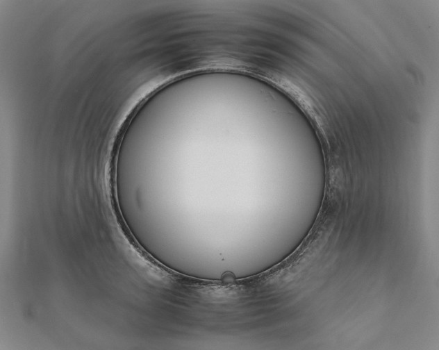 X0000112070947200908181217