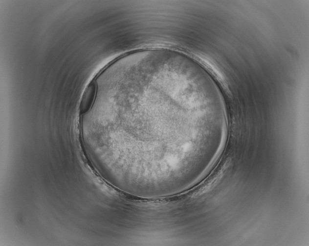 X0000112070948200908181217