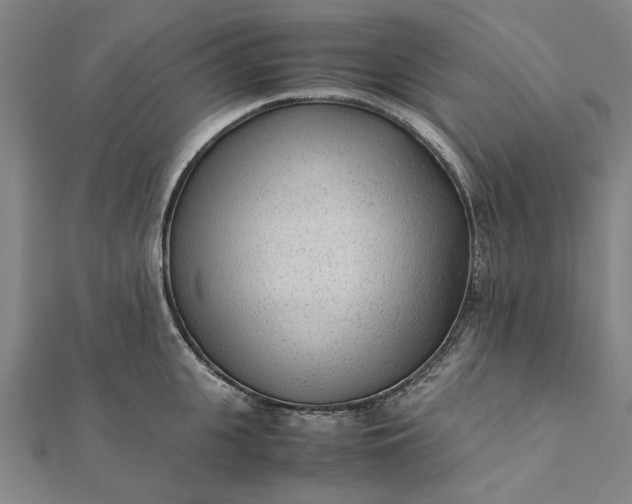 X0000112070951200908181217