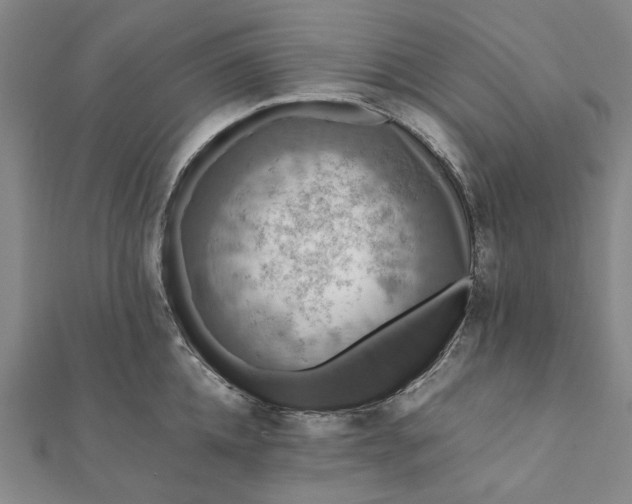 X0000112070952200908181217