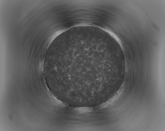 X0000112070953200908181217