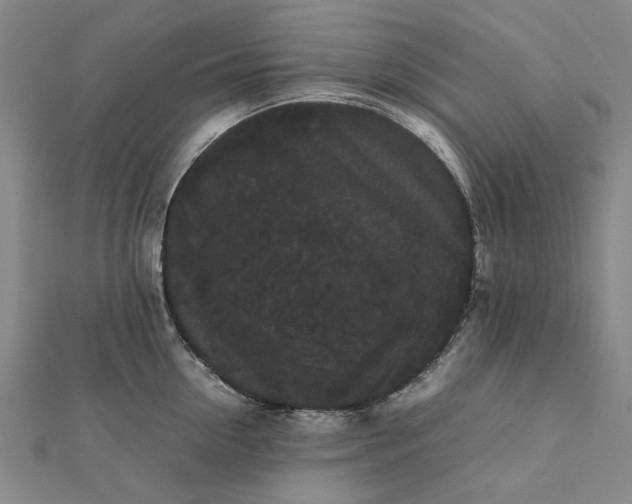 X0000112070954200908181217