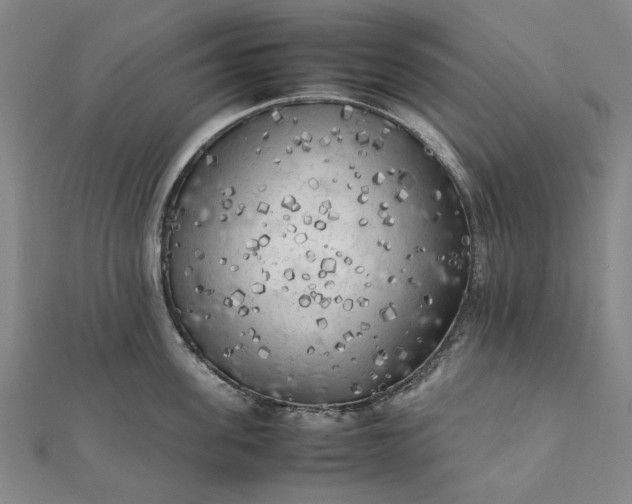 X0000112070955200908181217