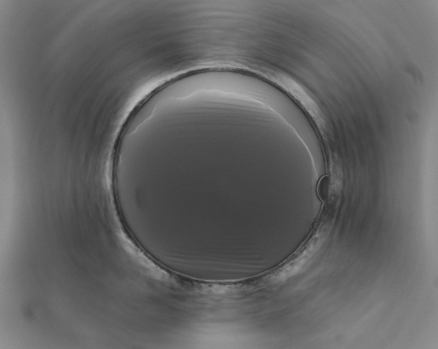 X0000112070958200908181217