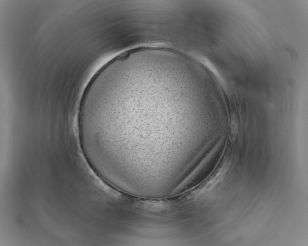 X0000112070959200908181217