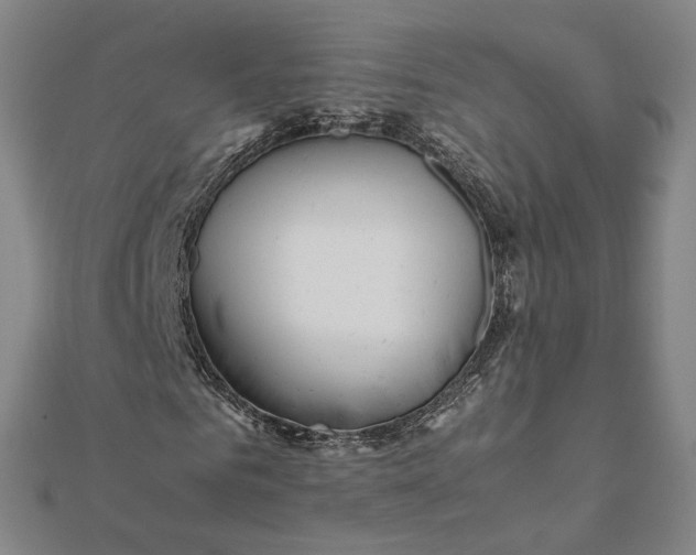 X0000112070961200908181216