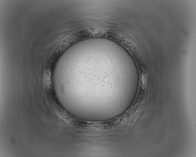 X0000112070963200908181216