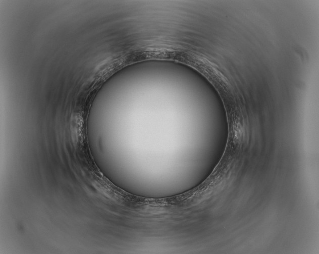 X0000112070964200908181216