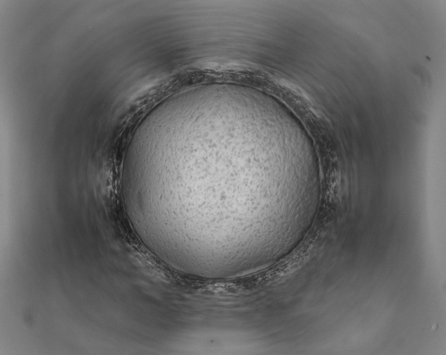 X0000112070966200908181216