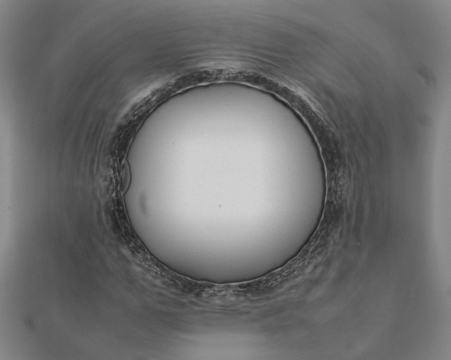 X0000112070967200908181216