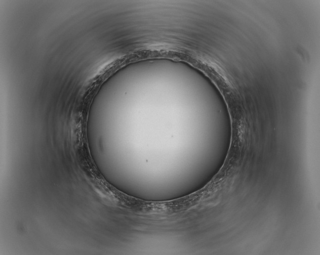 X0000112070968200908181216