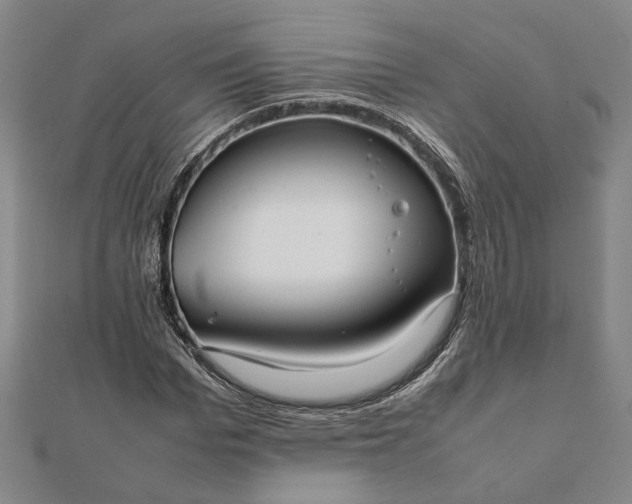 X0000112070969200908181216