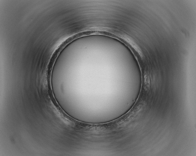 X0000112070972200908181216