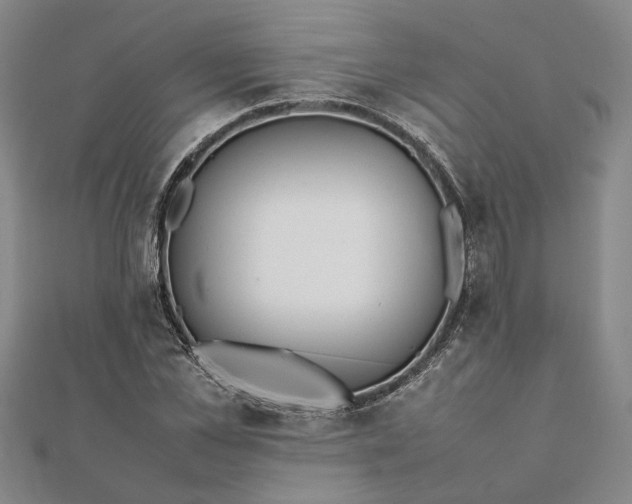 X0000112070973200908181216