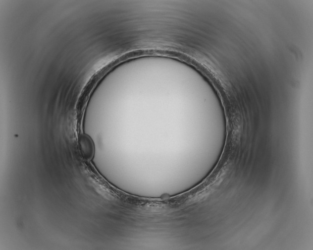 X0000112070974200908181216