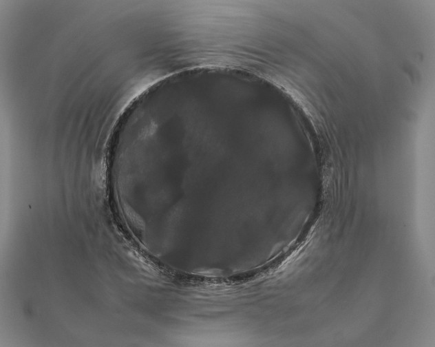 X0000112070975200908181216