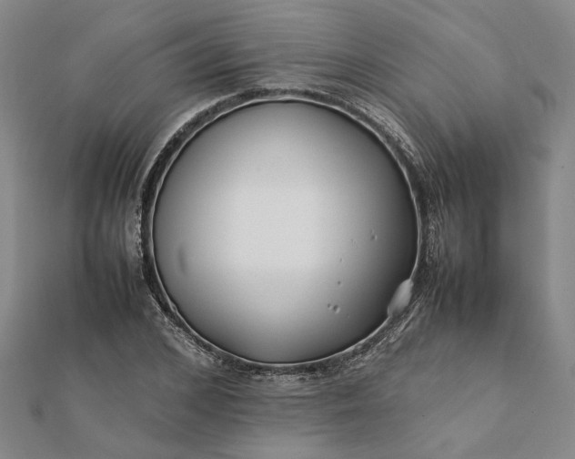 X0000112070976200908181216