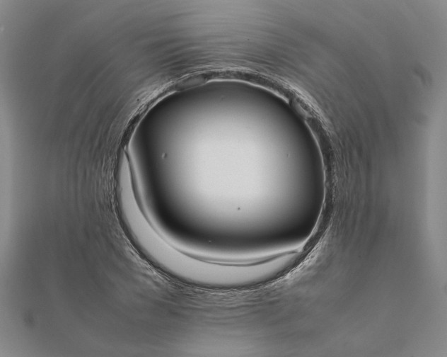 X0000112070977200908181216