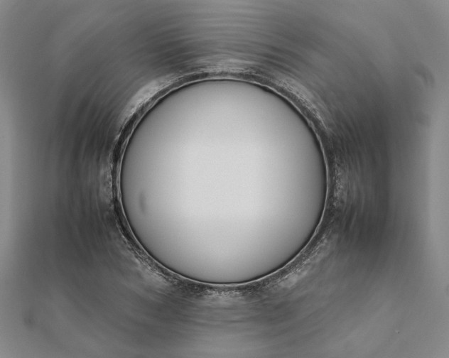 X0000112070978200908181216